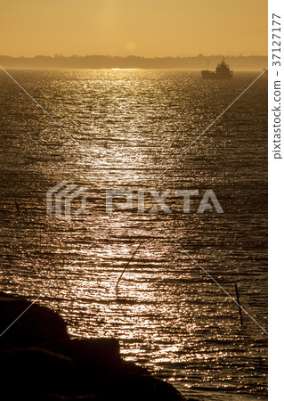 Going to sea Going to sea 37127177