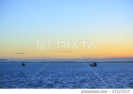 出海 37127257