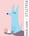 Bouquet and dog 37127458