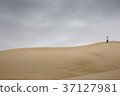 Desert 37127981