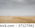 Desert 37127982