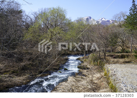 長瀨河,純淨的水從山流出。 長瀨河,純淨的水從山流出。 37128303