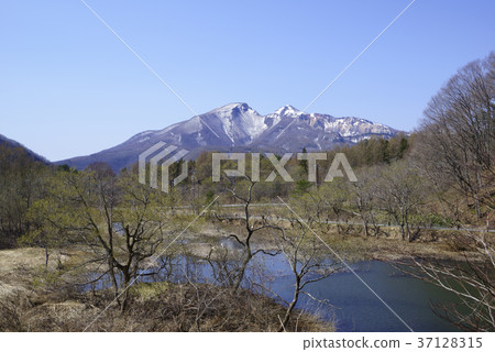 秋元山反映在秋元湖和解凍開始的湖面 37128315