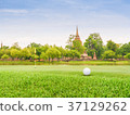 Golf ball  hole and  flagat golf course  37129262
