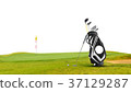Golf equipment and golf bag ,putter ,ball on green 37129287