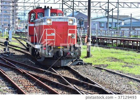 ED10 locomotive 37129493