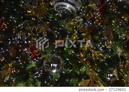 Night view of Nagoya 37129602