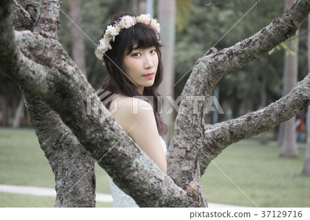 Beautiful bride sitting on the tree Beautiful bride sitting on the tree 37129716