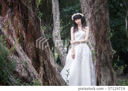 美女婚紗 37129719