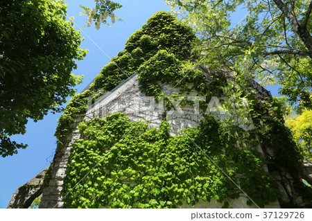 A pastoral village 37129726