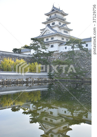 [Ehime Prefecture] Imabari Castle 37129756