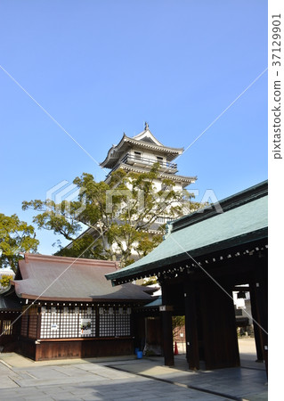 [愛媛縣]今治城和福岡神社 37129901