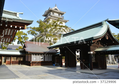 [Ehime Prefecture] Imabari Castle and Fukiage Shrine 37129906