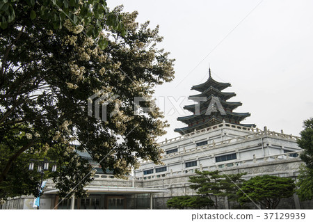 國立民俗博物館，景福宮（歷史遺址117），首爾鐘路區 37129939