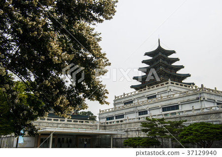國立民俗博物館,景福宮(歷史遺址117),首爾鐘路區 國立民俗博物館,景福宮(歷史遺址117),首爾鐘路區 37129940