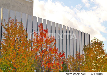 日野市政廳外觀 37130886