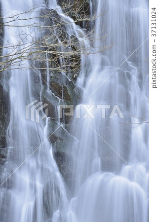 [Imabari, Ehime Prefecture] Kiriki Waterfall 37131024