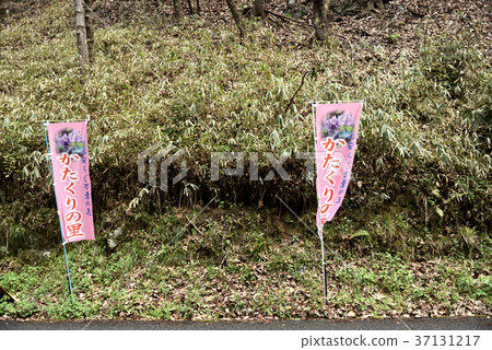 Kurukuri no Sato Kurukuri no Sato 37131217