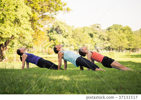 Group of women doing yoga exercises in the park.  37131517