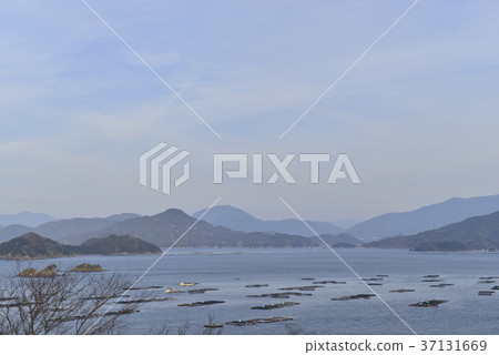[Uwajima City, Ehime Prefecture] Blue sky and Seto Inland Sea 37131669