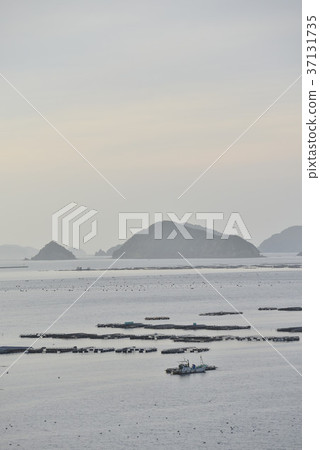 [Ehime Prefecture Uwajima City] Uwa Sea Evening View 37131735