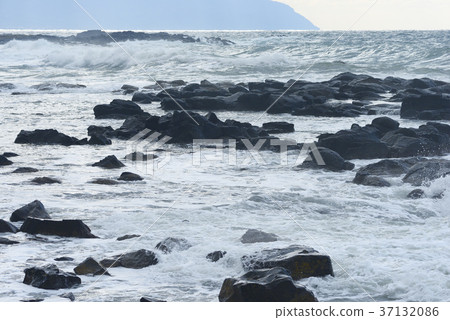 Wave of Golden Rose Wave of Golden Rose 37132086