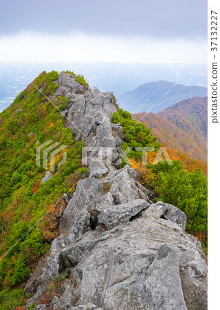 Kogasen特產！哥斯拉回來！ （鳥取縣鳥取郡小浦町小智町）*照片的位置信息可以在作品的評論欄中找到。 37132227
