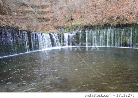 群馬的魅力 37132275