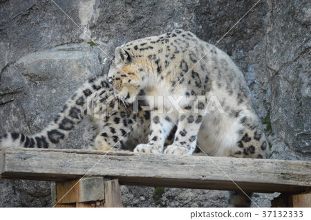 群馬的魅力 37132333