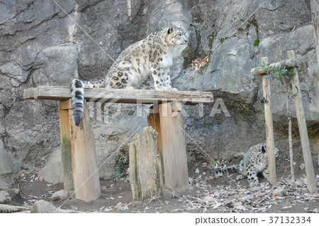 群馬的魅力 群馬的魅力 37132334