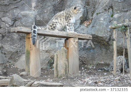 群馬的魅力 37132335