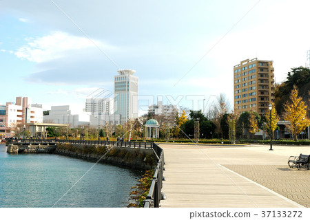 Scenery of Vernie Park in Yokosuka City, Kanagawa Prefecture Scenery of Vernie Park in Yokosuka City, Kanagawa Prefecture 37133272
