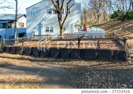 Fall leaf collection point 37133428