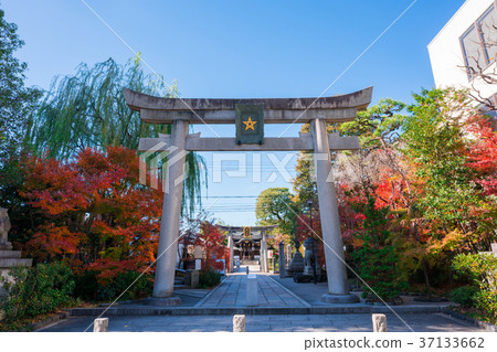 京都Seimei寺廟秋葉 37133662