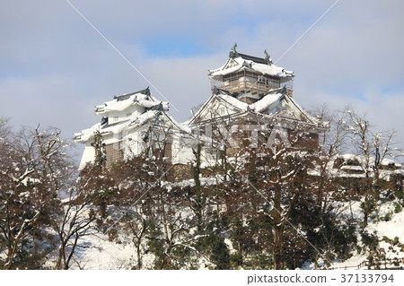 Echizen Ono Castle 37133794