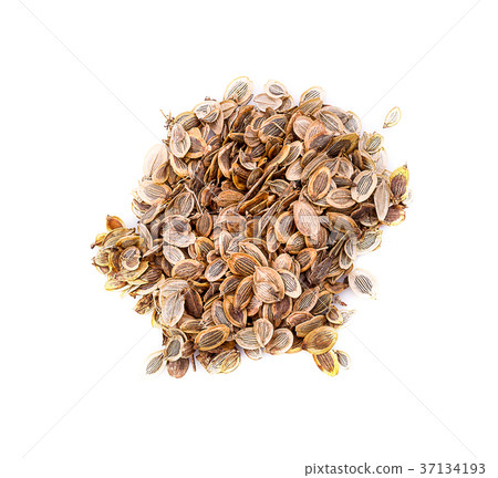 spices - fennel, dill seeds (Anethum graveolens) spices - fennel, dill seeds (Anethum graveolens) 37134193