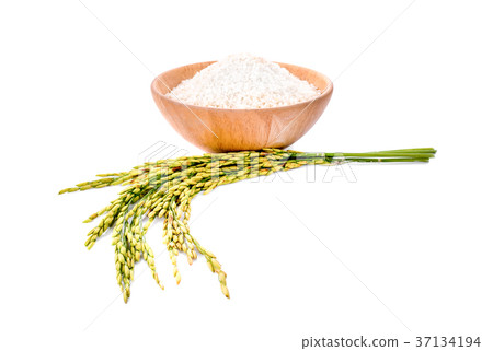 Thailand Rice in Wooden Bow Thailand Rice in Wooden Bow 37134194