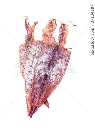 dried squids on white background dried squids on white background 37134197