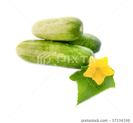 Cucumber isolated on white background Cucumber isolated on white background 37134198