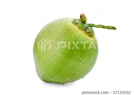 water drop green coconut isolated water drop green coconut isolated 37134202