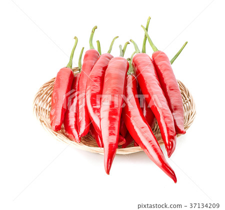 chili pepper isolated on a white background 37134209
