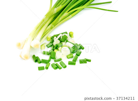 chopped green onions on white background chopped green onions on white background 37134211
