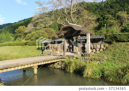 Mr. Asakura Ruins 37134365