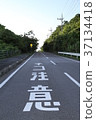 Okinawa Iriomote Island 37134418