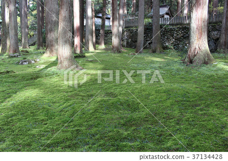 Heizenji寺白山神社 37134428