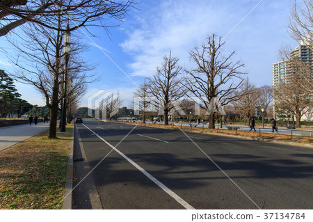 Imperial Palace Gaien 37134784
