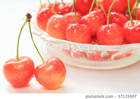 Cherry 37135007