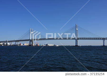 Yokohama Minatomirai in the New Year 37135254
