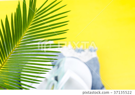 Tropical Background Palm Trees Branches with Tropical Background Palm Trees Branches with 37135522