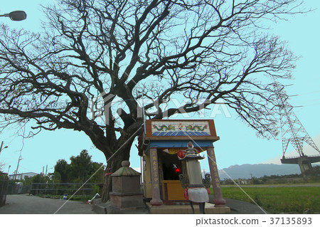 World scenery, Yasu, Tai Wan, Taichung, Houli, Tai'an, Fu Deh shrine, Dead tree, Iron tower World scenery, Yasu, Tai Wan, Taichung, Houli, Tai'an, Fu Deh shrine, Dead tree, Iron tower 37135893